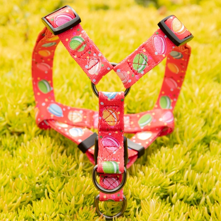 What Is a Dog Harness Used for? Types of Dog Harnesses 3