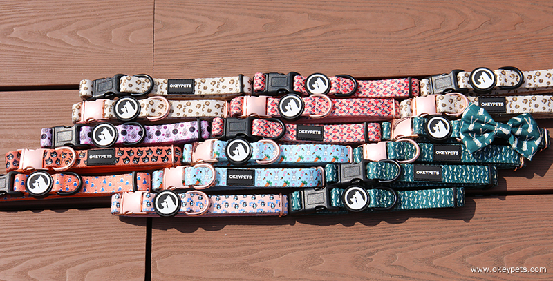 Types and classifications of pet products 5