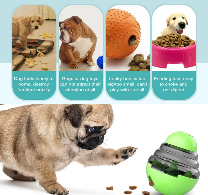 Types and classifications of pet products 2