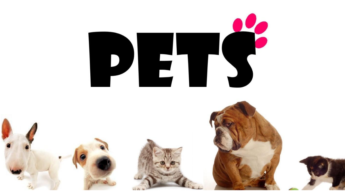 Rapport phare | Perspectives du marché mondial des animaux de compagnie 2024 6