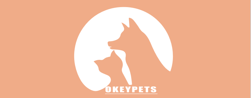 Les 4 chiens les plus « puants » du monde canin, dont l'odeur corporelle rend les gens malades ! 1