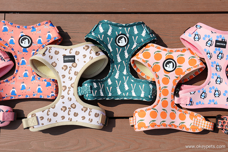 Les 4 chiens les plus « puants » du monde canin, dont l'odeur corporelle rend les gens malades ! 9