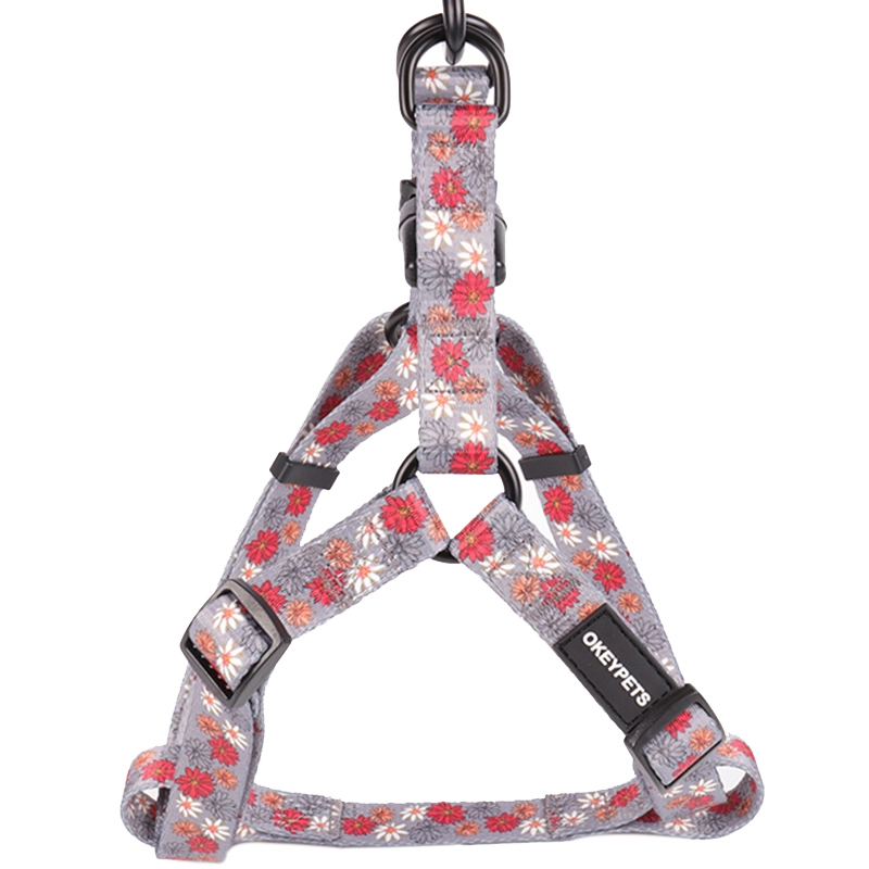 Présentation des nouveaux produits 5