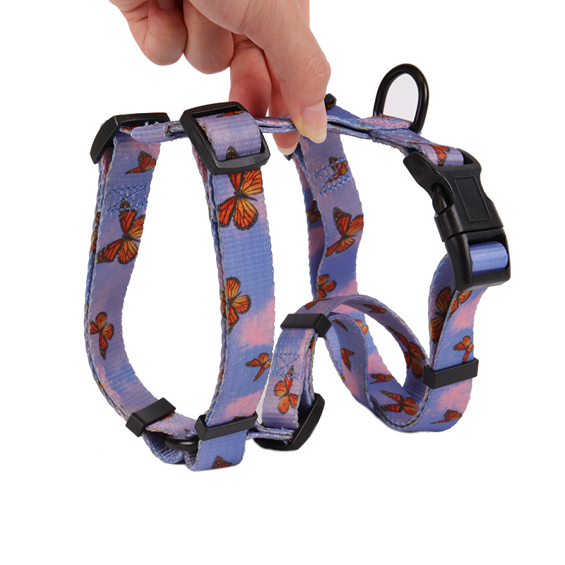 Salon des nouveaux produits design d'OKEYPETS 4