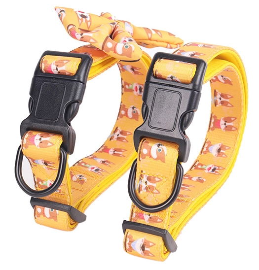 Les raisons les plus pratiques et les plus étonnantes d'utiliser des colliers originaux pour chiens 9