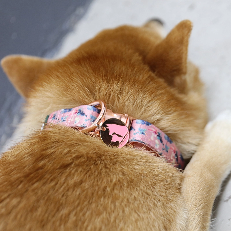 Les raisons les plus pratiques et les plus étonnantes d'utiliser des colliers originaux pour chiens 2