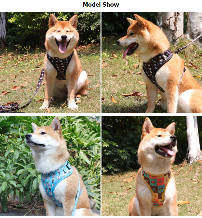 Jobbak a hám, mint a nyakörvek? - OKEYPETS 3