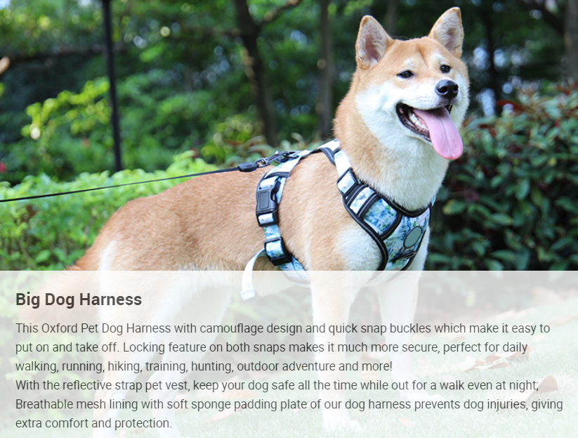 Jobbak a hám, mint a nyakörvek? - OKEYPETS 1