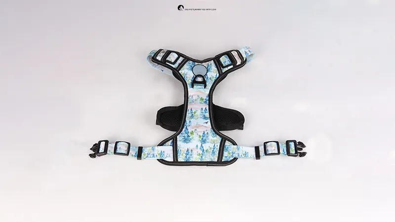 Easy On & Off Puppy Training Harness - Step-In, Quick-Dry, Adjustable Straps, No-Pull Design 1