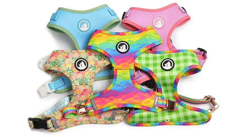 Colorful Dog Vest Harness for Personalized Style & Comfort
Whether small or large breed, our playful and durable dog harness offers customized style and comfortable fit. 1