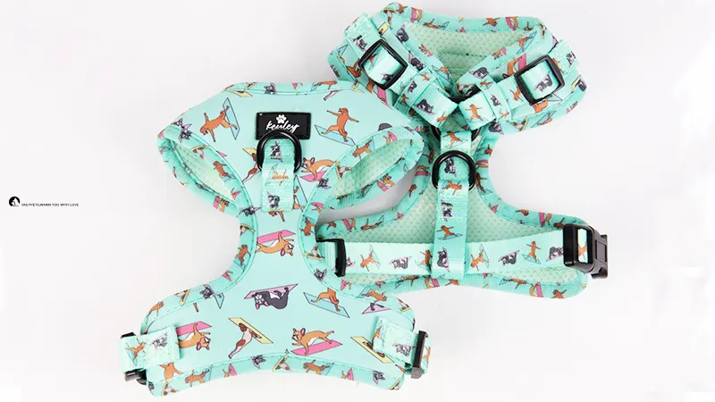 Custom padded dog harness bulk Manufacturer | OKEYPETS 1