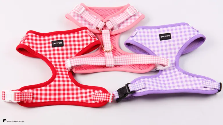 Neoprene Puppy Harness 1