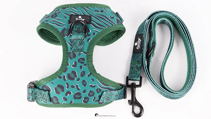 Úim Inchoigeartaithe Madraí le Prionta Leopard Dorcha Glas OKEYPETS 1