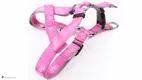 OEM dog carrying harness supplier | OKEYPETS 1