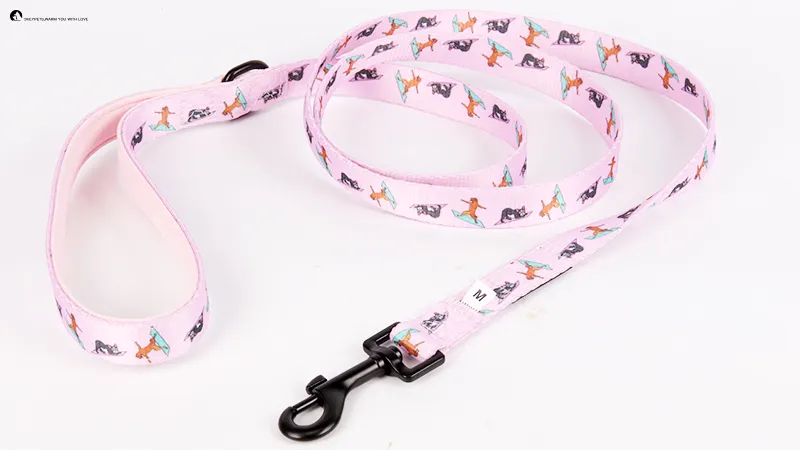 starkt hundkoppel till grossistpriser | OKEYPETS 1