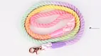OKEYPETS | Quality adjustable dog lead supplier 1