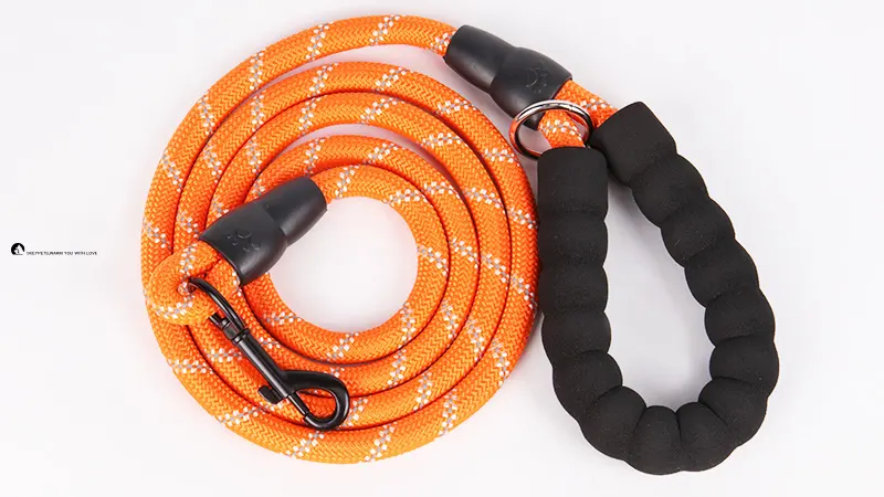 OKEYPETS | High Quality cute dog leashes bulk 1