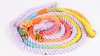 OKEYPETS | Durable dog training rope leash for sale 1