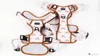 bully dog harness at Wholesale Prices | OKEYPETS 1