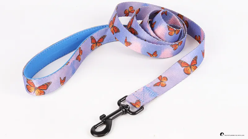 dog running leash at Wholesale Prices | OKEYPETS 1