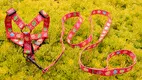 Custom dog harness factory supplier Manufacturer | OKEYPETS 1