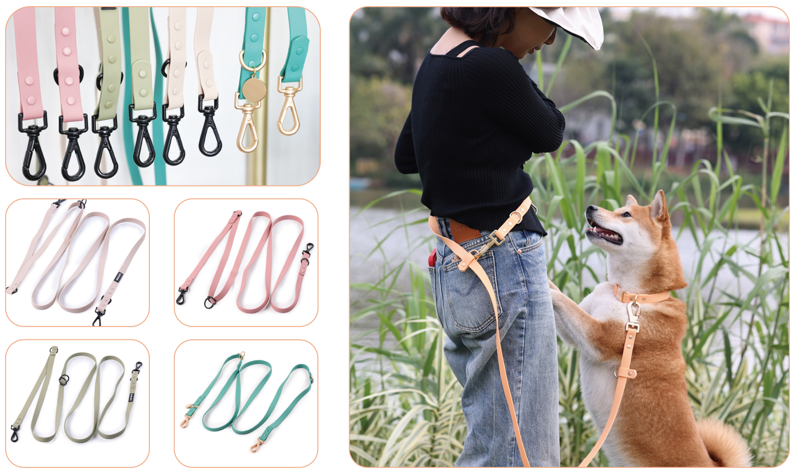 How To Choose Suitable Dog Collar: 2025 Buying Guide 2