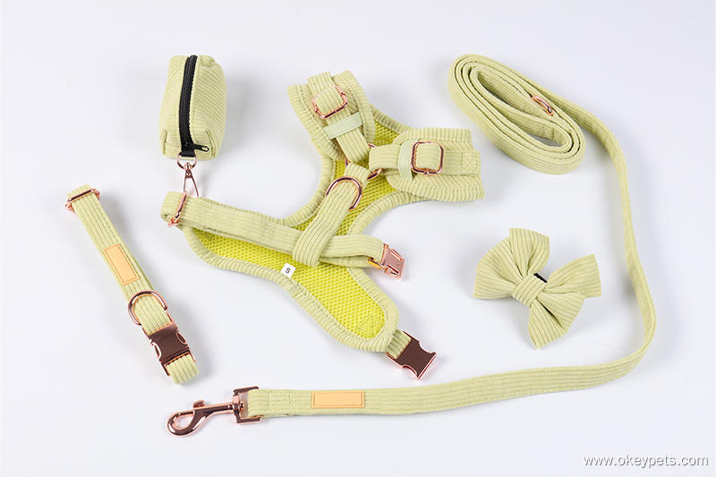 Postroj pro psy z manšestrového zeleného plátna, obojek, vodítko, motýlek, sáček na hovínka 6