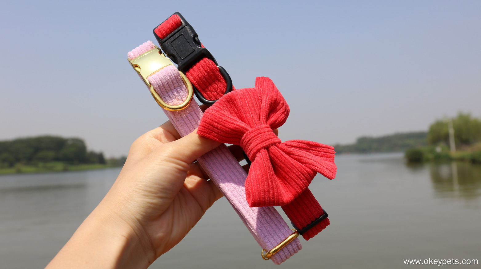 مواد مختلفة لأطواق الكلاب 2