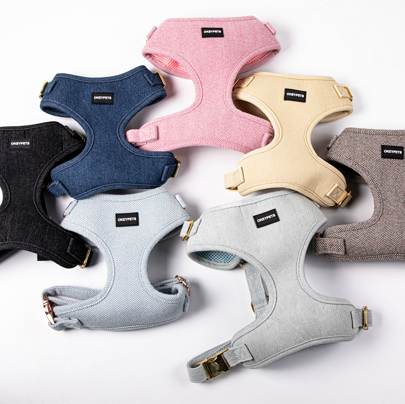 Czy dla psa lepiej jest nosić obrożę czy smycz? 3