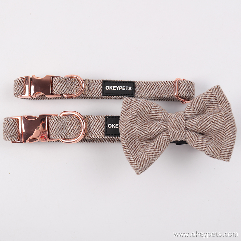 Czy dla psa lepiej jest nosić obrożę czy smycz? 2