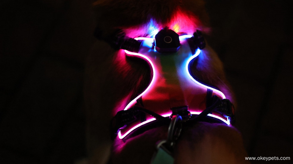 Ako si vybrať správny materiál postroja pre domáce zvieratá 2