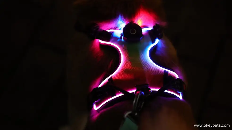 Harnais lumineux personnalisé OKEYPETS pour chien, harnais anti-traction à LED 1