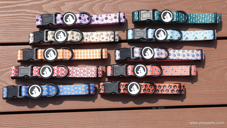 مواد مختلفة لأطواق الكلاب 1