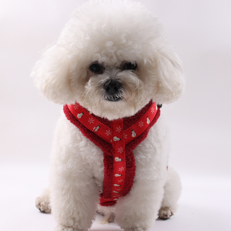 Dog wearing a red sherpa dog harness standing outdoors to show the front fit and chest coverage