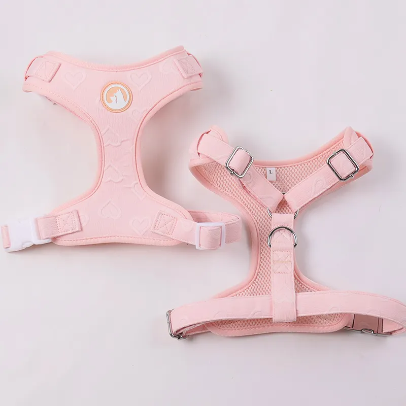 Embroidered Mesh Dog Harness - Adjustable & Breathable 5