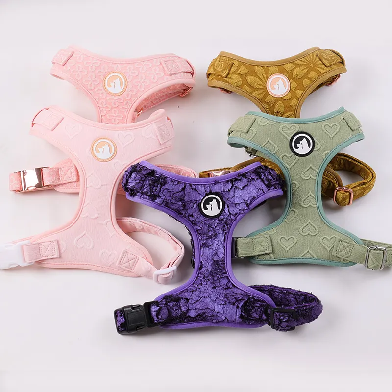 Embroidered Mesh Dog Harness - Adjustable & Breathable 2