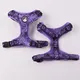 Embroidered Mesh Dog Harness - Adjustable & Breathable 3