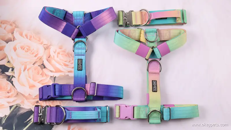 Harnais tactique personnalisé pour chien, collier et laisse avec dégradé de couleurs tie-dye 1