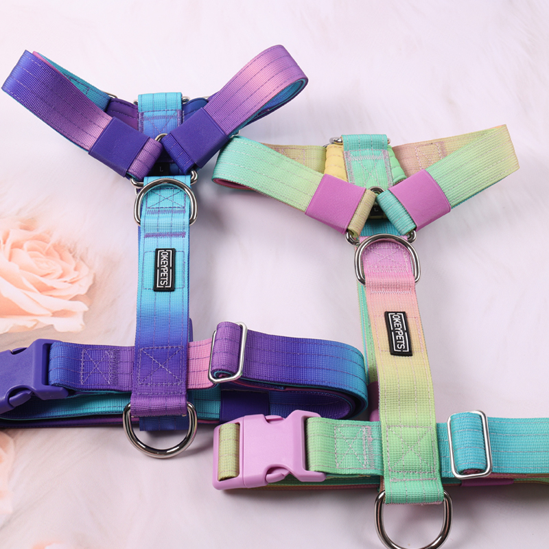 Harnais tactique personnalisé pour chien, collier et laisse avec dégradé de couleurs tie-dye 9