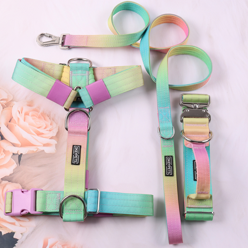 Harnais tactique personnalisé pour chien, collier et laisse avec dégradé de couleurs tie-dye 8