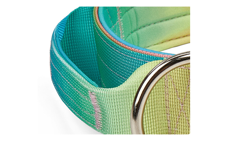 Collier tactique personnalisé pour chien, à dégradé de couleurs, antidéflagrant, pour grands chiens 13