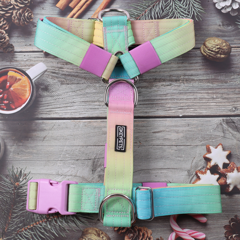 Harnais tactique personnalisé pour chien, collier et laisse avec dégradé de couleurs tie-dye 10