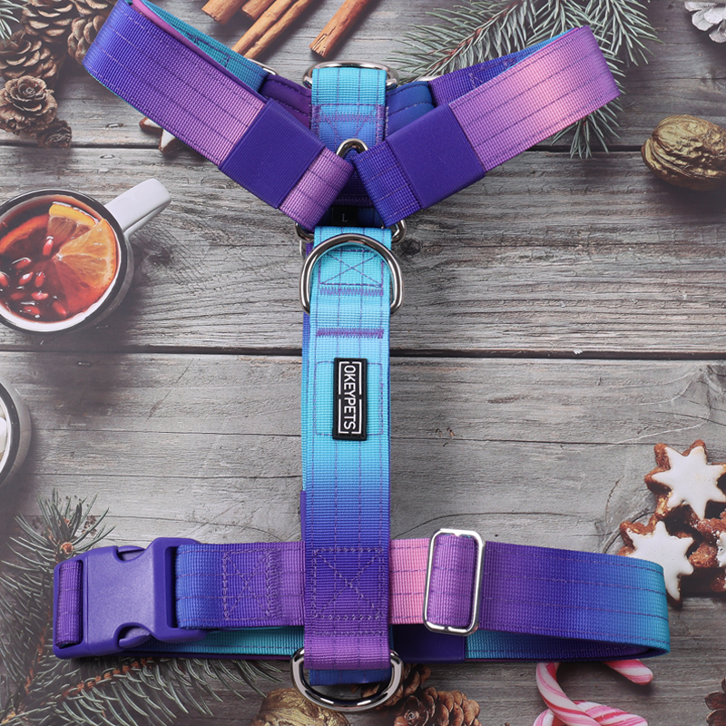 Harnais tactique personnalisé pour chien, collier et laisse avec dégradé de couleurs tie-dye 11