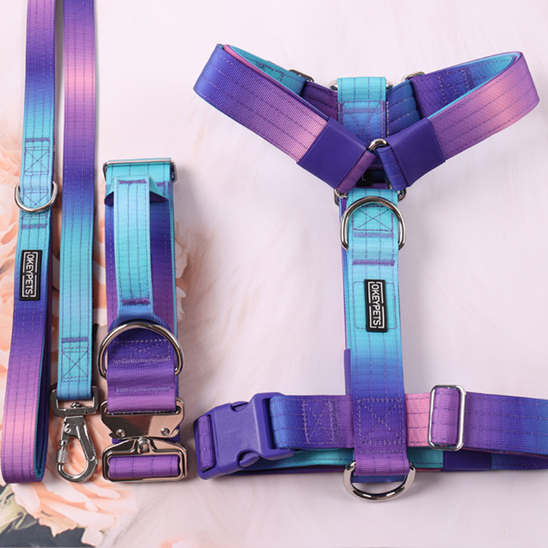 Harnais tactique personnalisé pour chien, collier et laisse avec dégradé de couleurs tie-dye 7