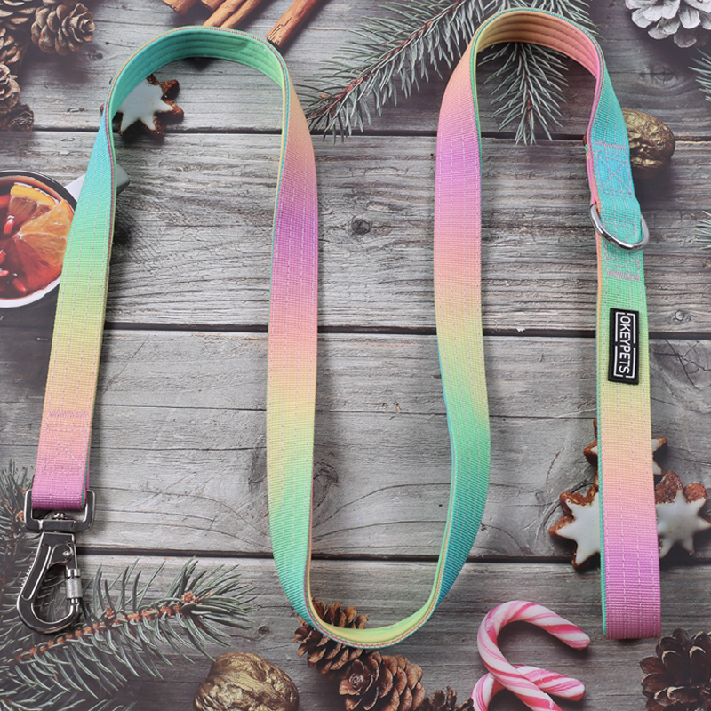 Collier tactique personnalisé pour chien, laisse pour chien, couleur dégradée, collier tactique anti-explosion, laisse pour animaux de compagnie 11