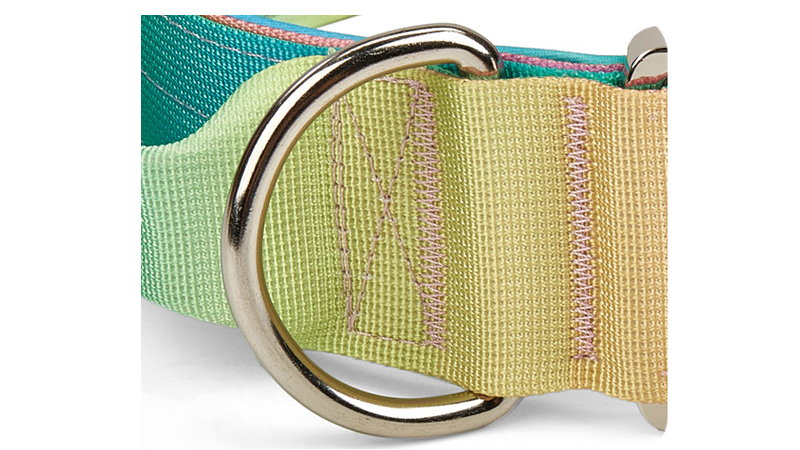 Collier tactique personnalisé pour chien, à dégradé de couleurs, antidéflagrant, pour grands chiens 12