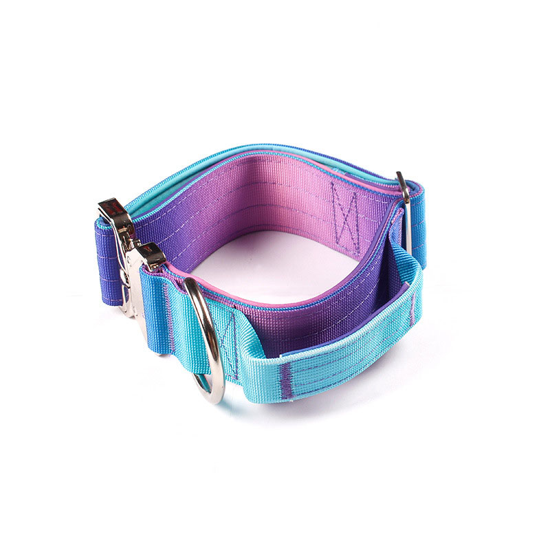 Collier tactique personnalisé pour chien, à dégradé de couleurs, antidéflagrant, pour grands chiens 18