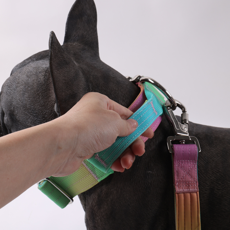 Collier tactique personnalisé pour chien, laisse pour chien, couleur dégradée, collier tactique anti-explosion, laisse pour animaux de compagnie 31