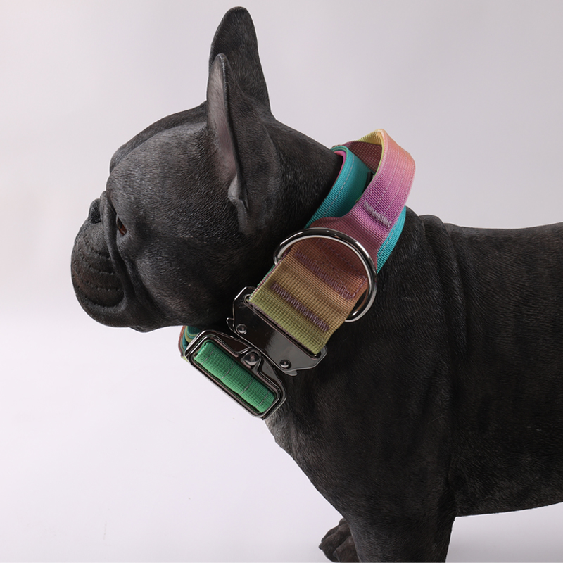 Collier tactique personnalisé pour chien, laisse pour chien, couleur dégradée, collier tactique anti-explosion, laisse pour animaux de compagnie 28