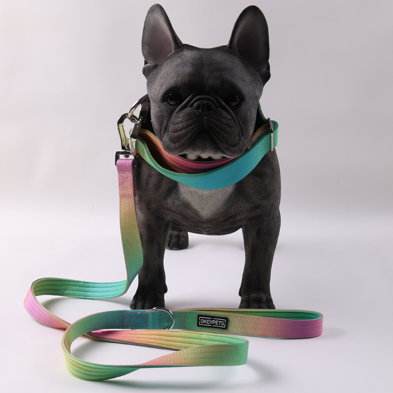 Collier tactique personnalisé pour chien, laisse pour chien, couleur dégradée, collier tactique anti-explosion, laisse pour animaux de compagnie 30